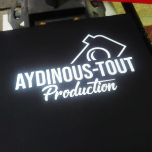 aydin